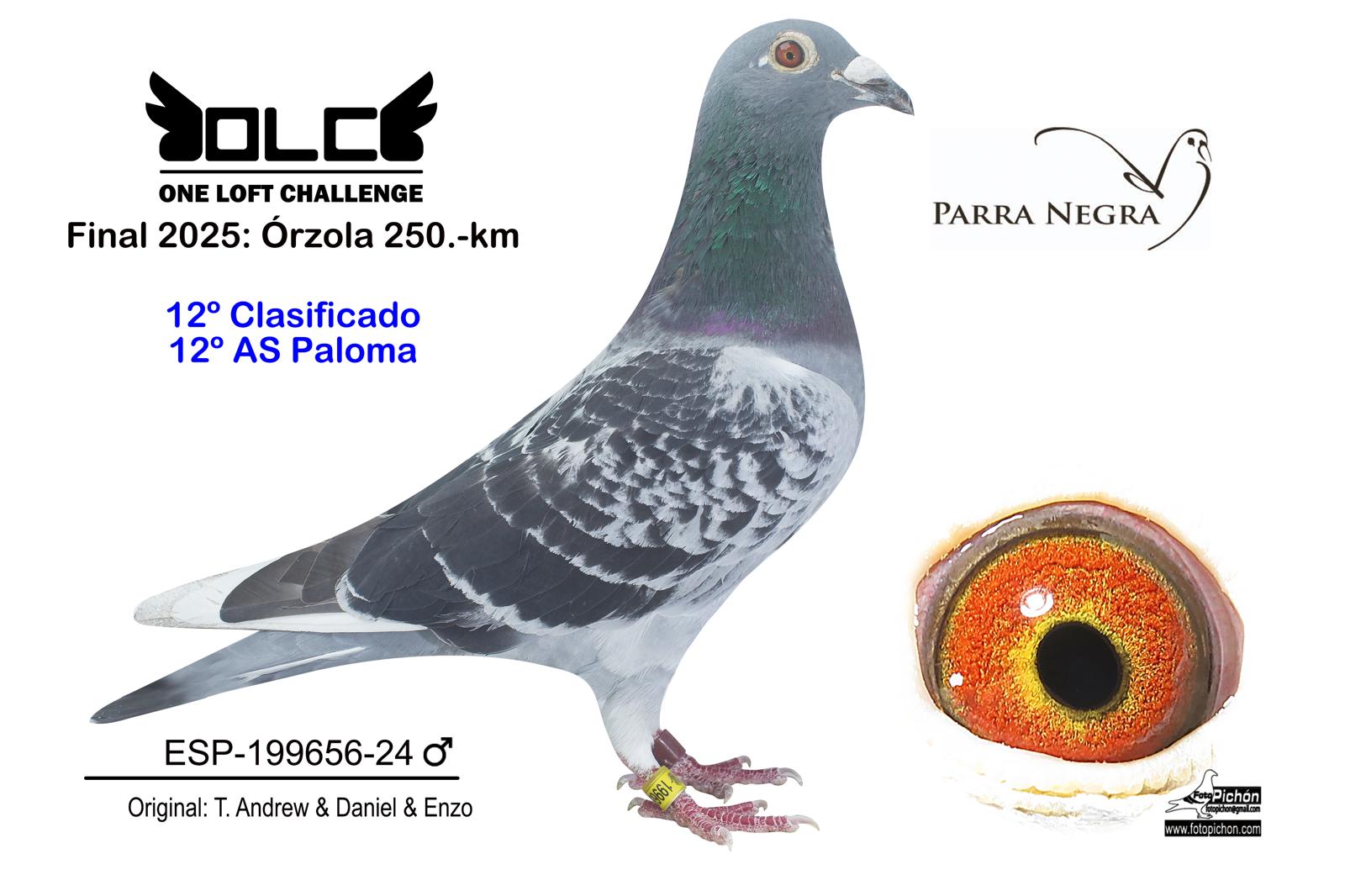12º ESP-24-199656