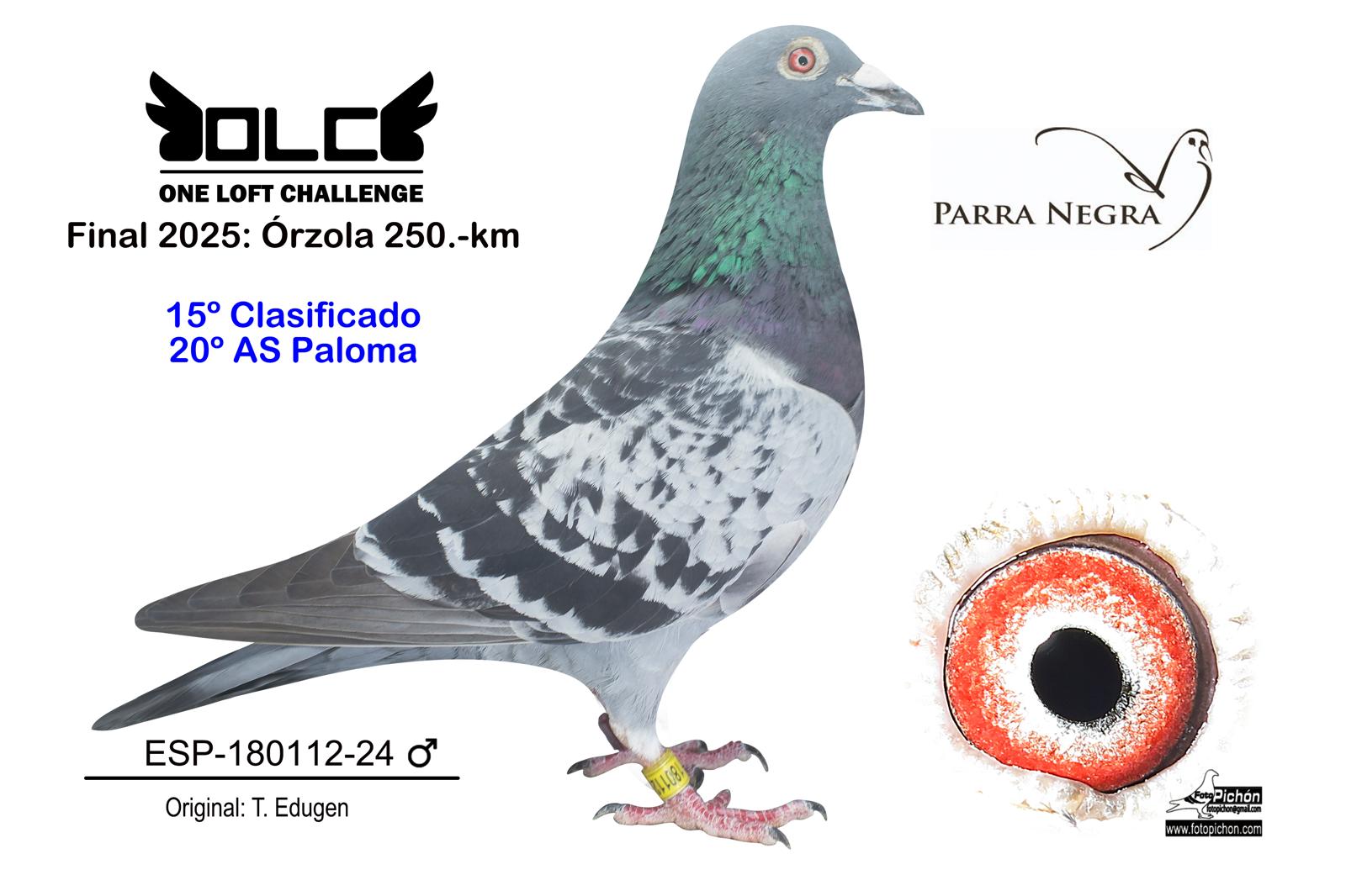 15º ESP-24-180112