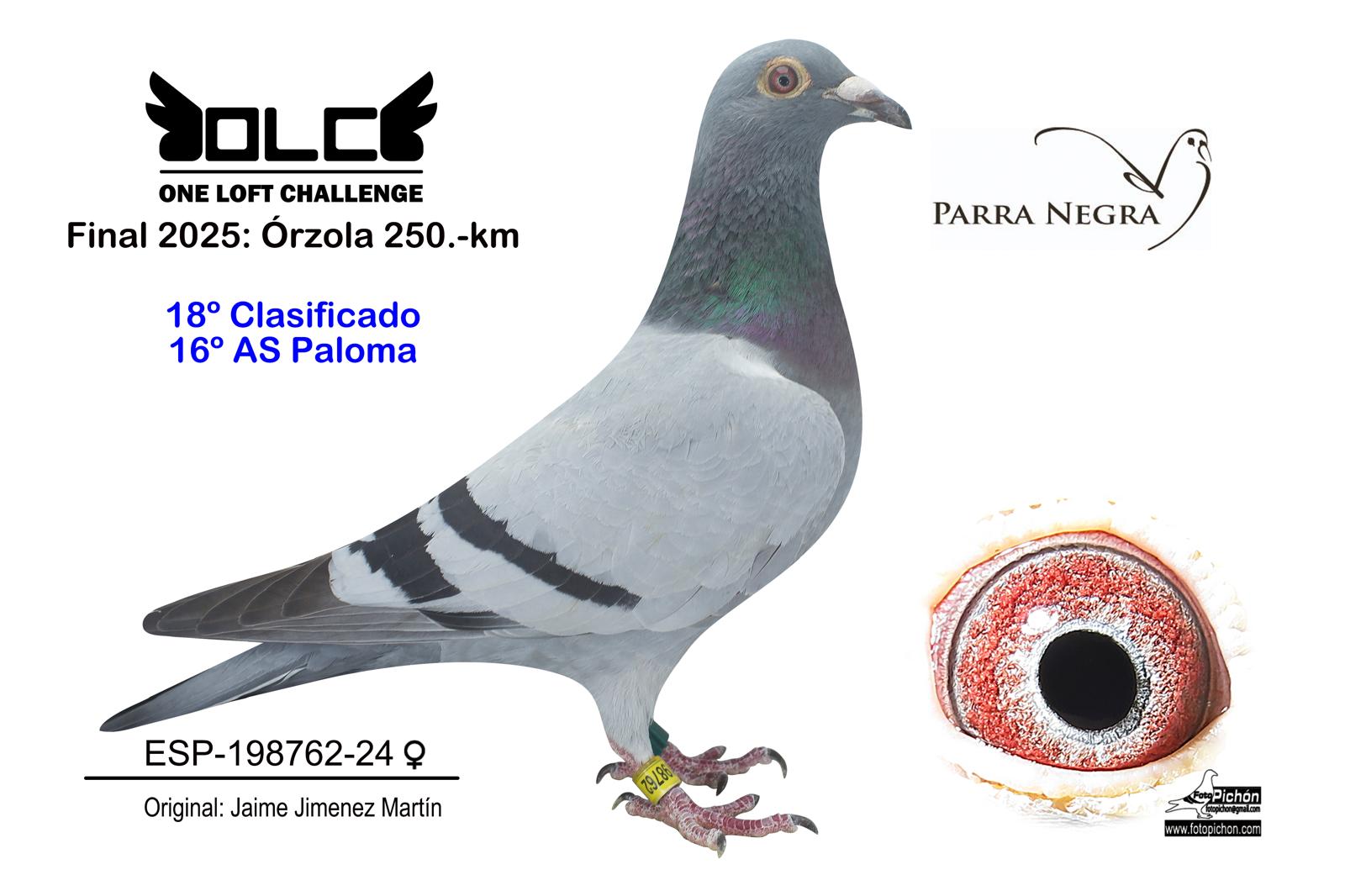 18º ESP-24-198762
