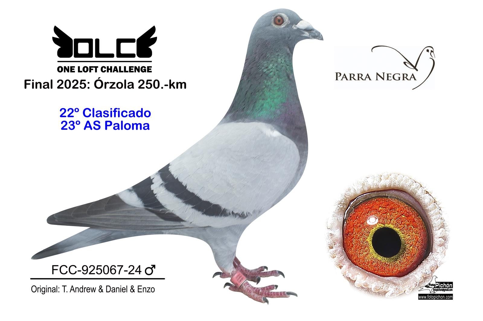 22º ESP-24-925067