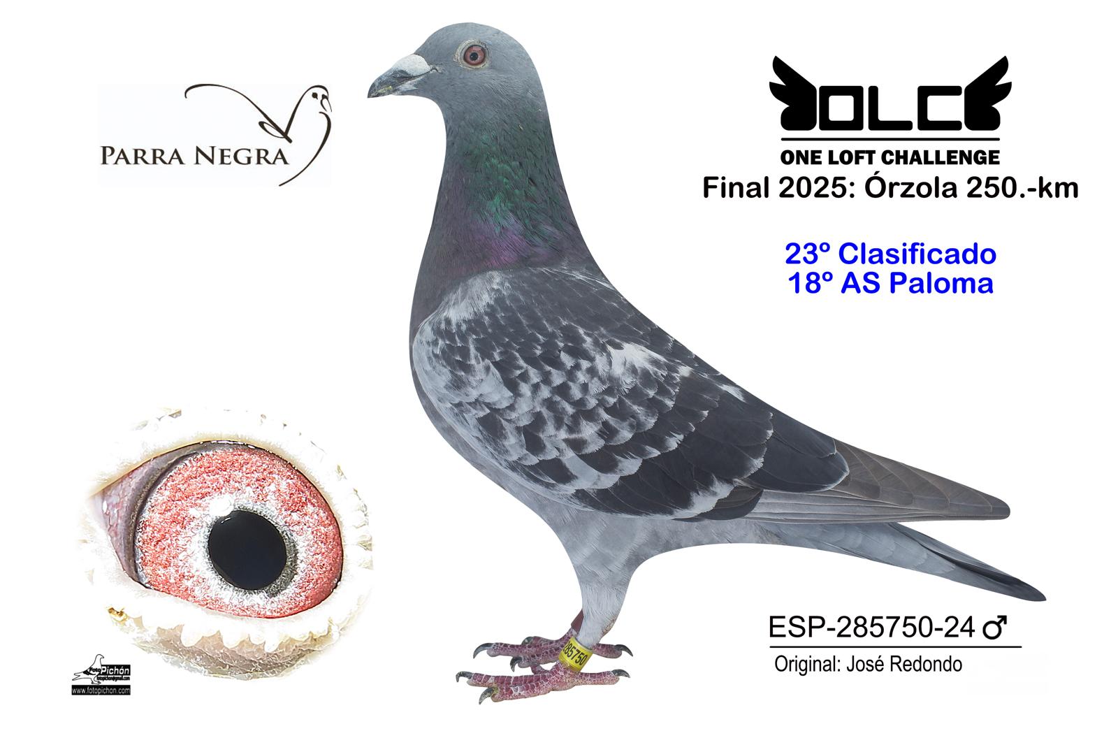 23º ESP-24-285750