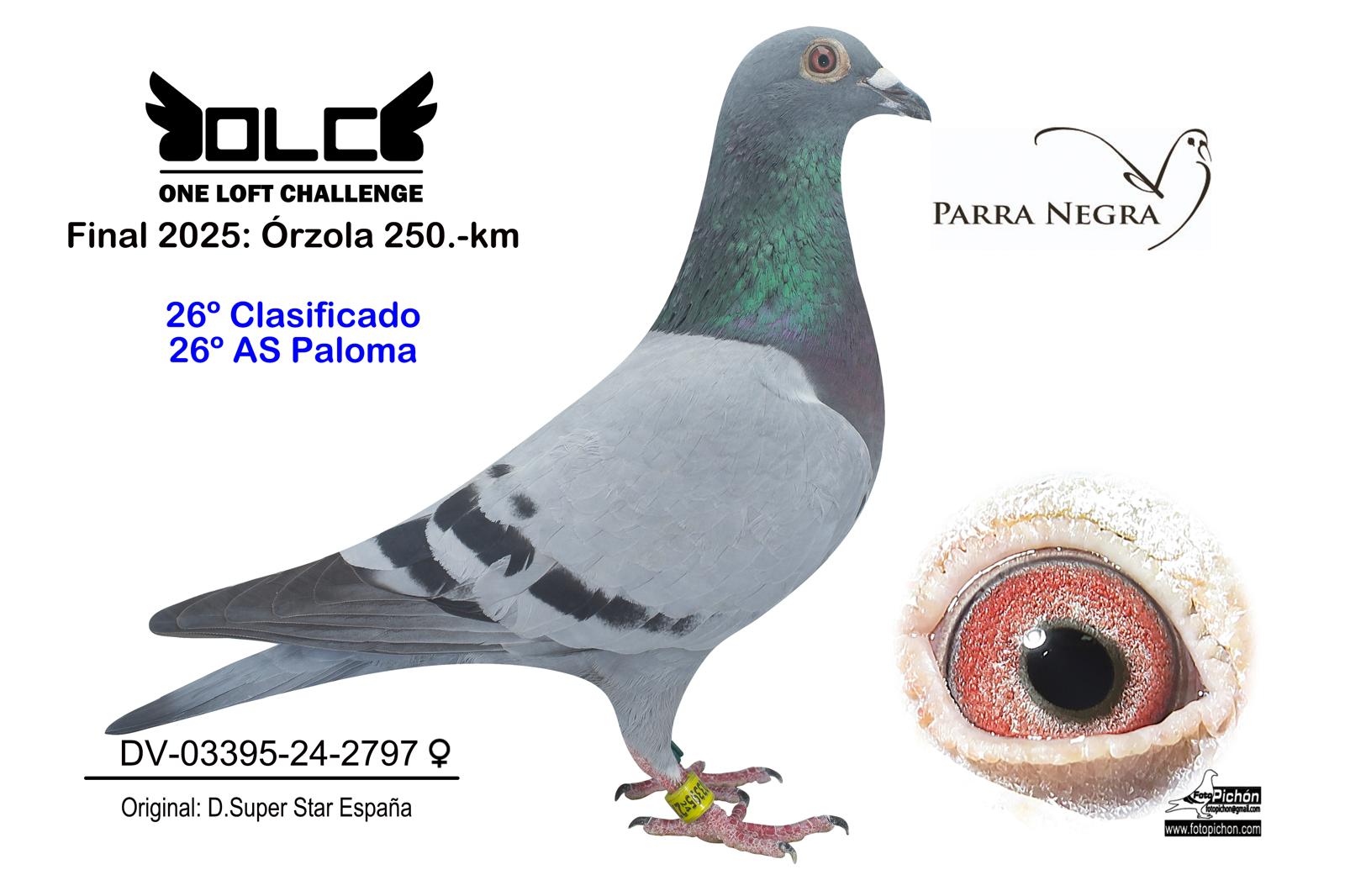 26º DV-03395-24-2797
