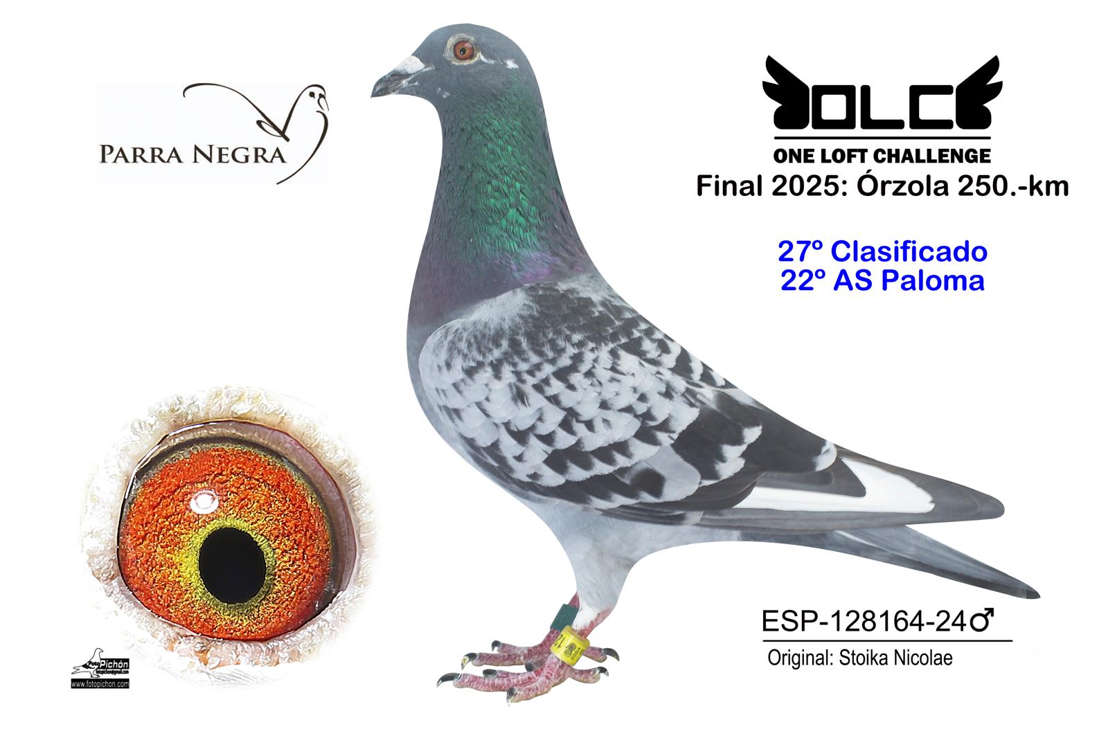 27º  ESP-24-128164