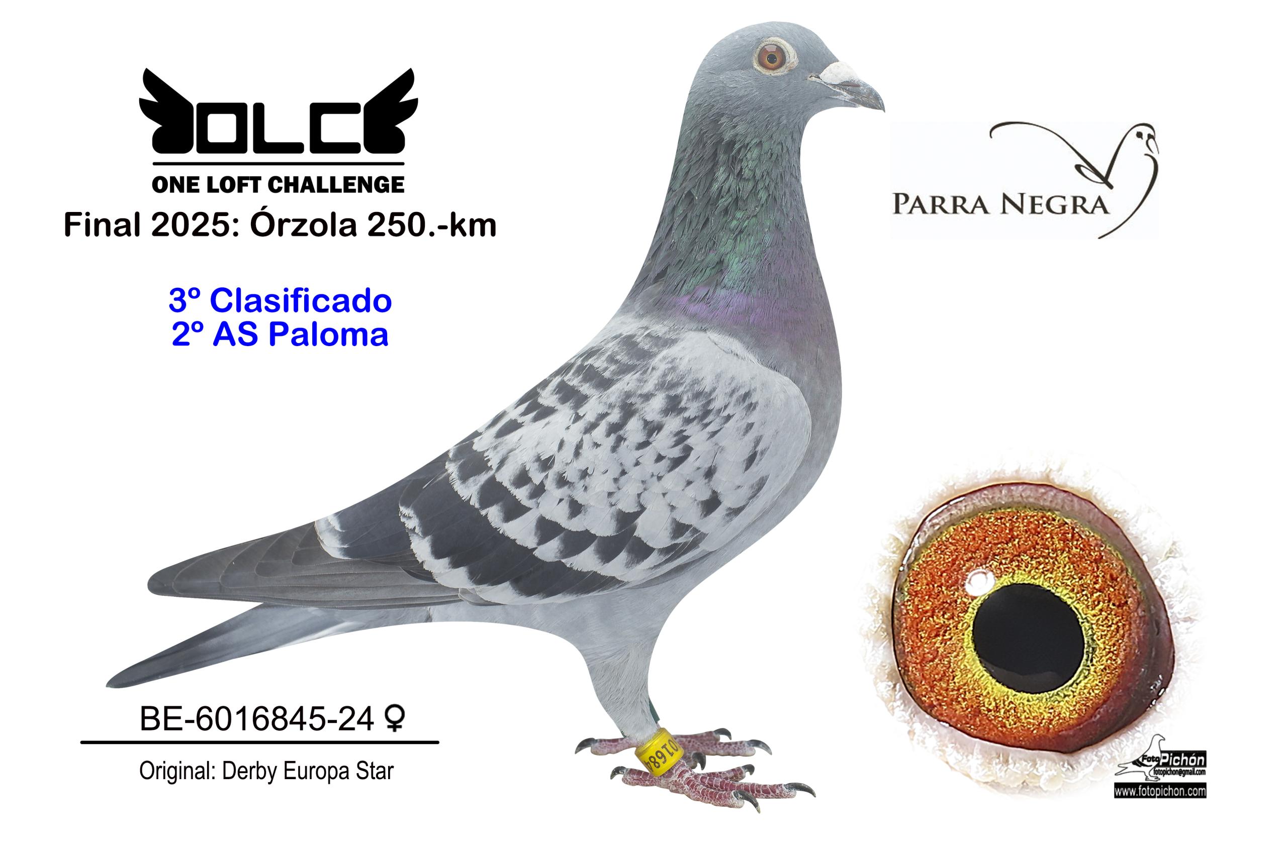 3º BE-24-6016845