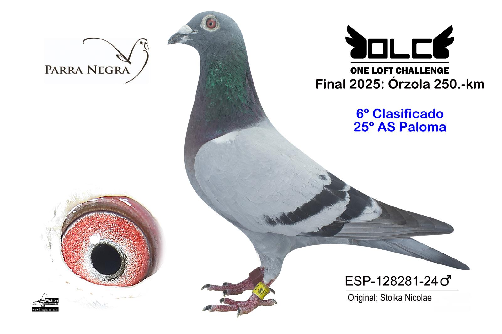 6º ESP-24-128281