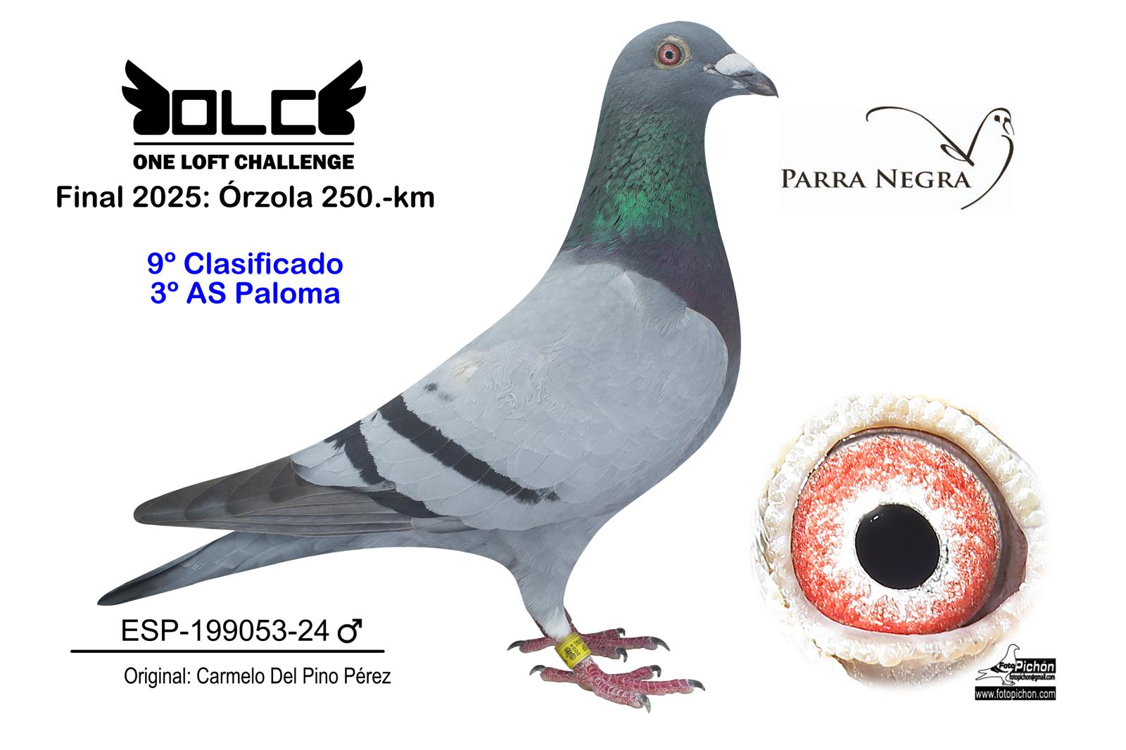 9º ESP-24-199053