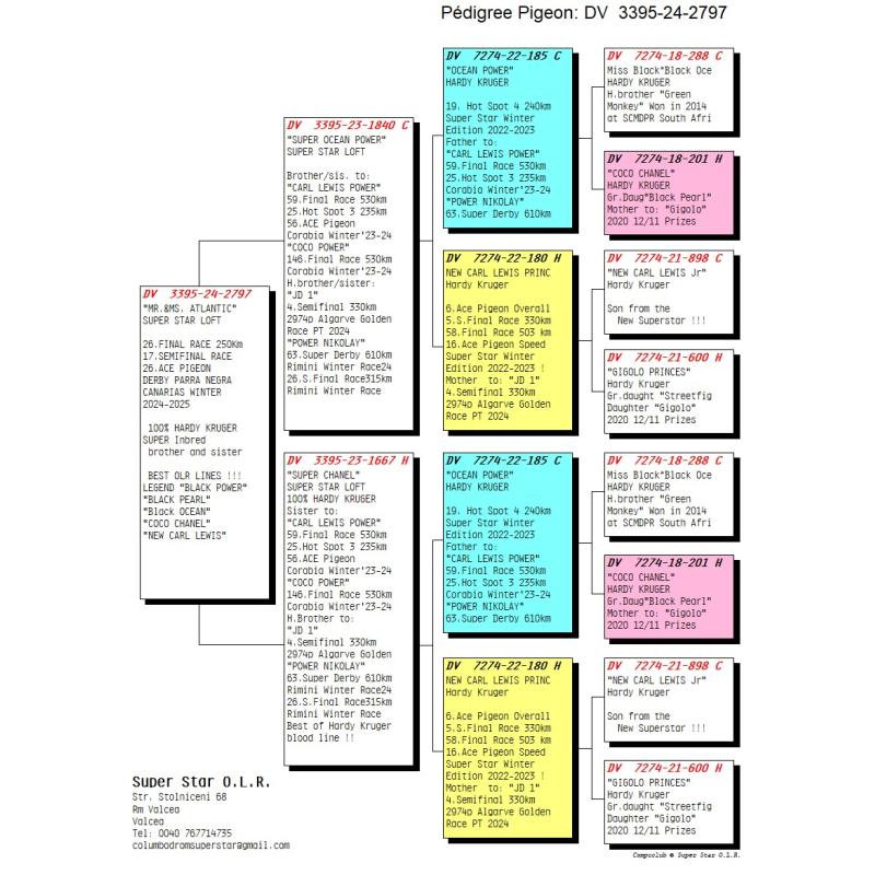 26º DV-03395-24-2797