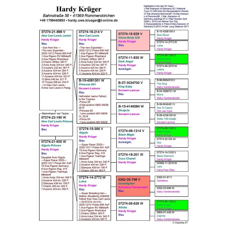 26º DV-03395-24-2797