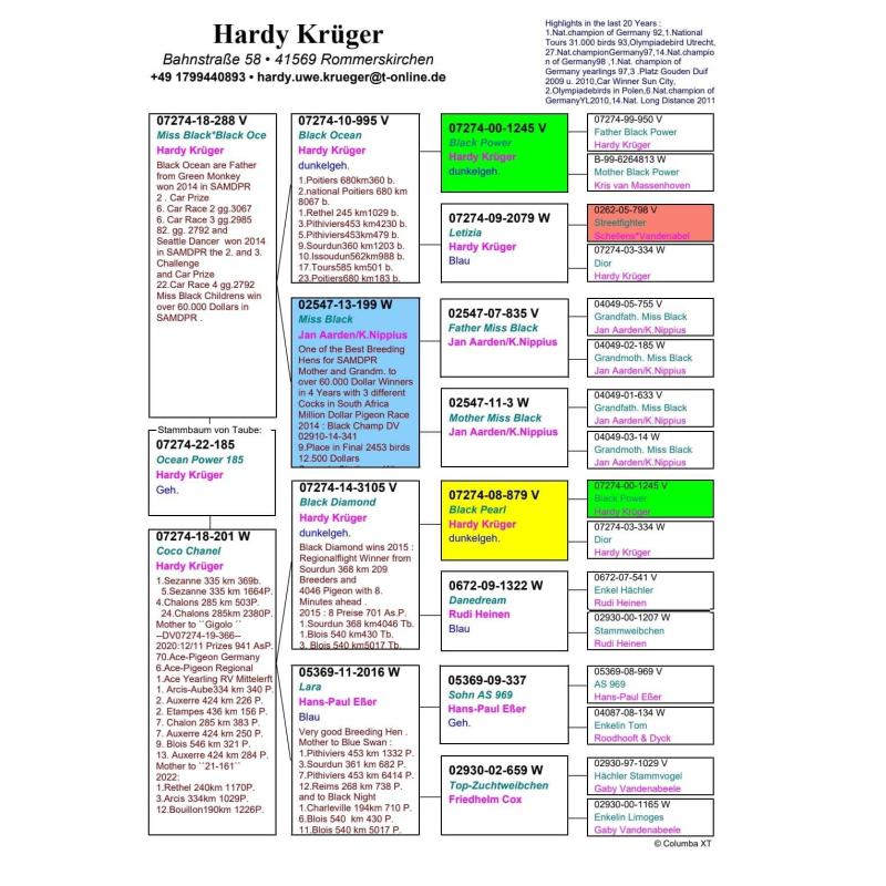 26º DV-03395-24-2797